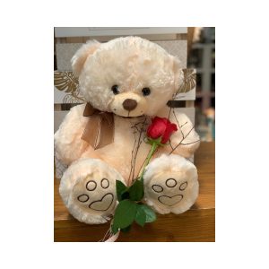peluche grande 40 CM + 1 rosa