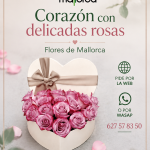 Caja Corazón y rosas